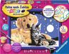 Ravensburger 28016 CreArt Sparkling Starry Sky Schilderij op Nummer met Glitter