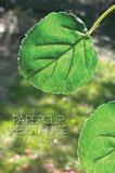 The Bol The Paperclip Resistance Project / a personal journal