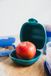DAY TO DAY Appeldoos Reef Green - Fruitbox met Clipsluiting - BPA-vrije Fruitdoos - Vaatwasbestendig Appeldoosje - Gemaakt in België - 460ml