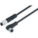 binder 77 3408 3405 50004-0200-20 Connecteur capteur/actionneur, M8, 4 broches, femelle coudée, mâle droit, 2m