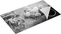Chefcare Inductie Beschermer Kippen op het Gras - Zwart Wit - 90x55 cm
