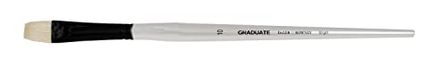 Daler Rowney Graduate Varkenshaar Heldere Borstel Maat 10