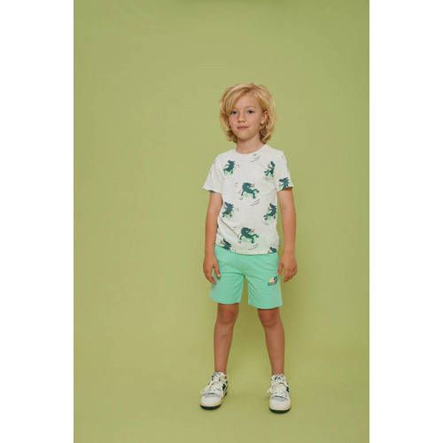 Sturdy Lagoon Legends Sturdy short groen