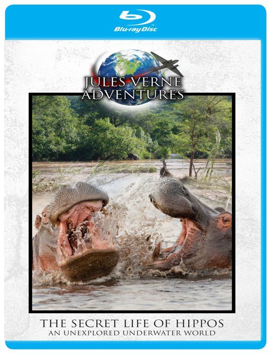 Source 1 Media Secret Life Of Hippos - DVD