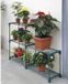 Verdemax Plantenrek 142 x 30 x 98 cm RVS