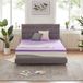 Protège-matelas en gel, 2 pouces d'épaisseur, doux, violet, lit une place