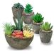 Vetplanten, kunstplanten, set van 5, realistische nepvetplanten met cementachtige potten voor thuiskantoordecoratie.