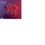 Sonic Rendezvous Hugues Mayot - L'Arbre Rouge (CD)