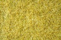 Noch Gras Wild, Beige