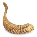 Hondenspeelgoed Ram hoorn maat L (>200g)