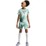 Nike Academy+ Dri-Fit voetbaltop met korte mouwen voor oudere kinderen, Mineral Slate/Summit White/Black, IR1311-382, M