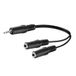Wentronic AVK 317-020 0.2m - 3.5mm - Male - 2 x 3.5mm - Female - 0.2 m - Black