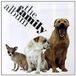 The Various Artists - The Family Album (CD)