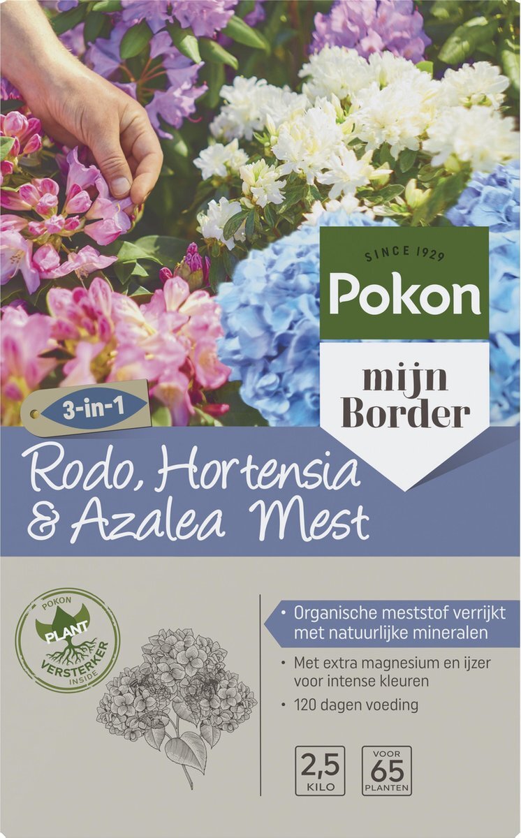 Pokon Hortensia, Rhododendron & Azalea, Mest 2,5kg