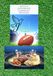 Joyful Blessings Game Day Recipes