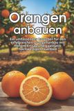 Orangen Bol Orangen anbauen