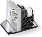 Acer EC.J2302.001 Projector Lamp