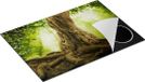 Chefcare Inductie Beschermer Grote Boom in het Bos - 75x55 cm