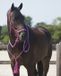 QHP Touwhalster & Neckrope Liberty Fuchsia Cob