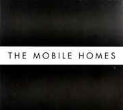 Suburban Mobile Homes Today is your lucky day