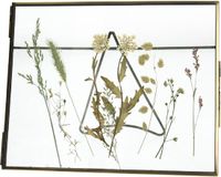 Wants&Needs Fotolijst Dried Flower Messing Brons 20.5 X 2 X 15.2