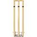Gunn & Moore GM Springback Cricket Stumps, Bruin/Bruin