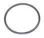 Gardena O-Ring