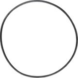 O-ring