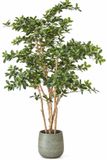 Mica Decorations Kunstplant Olijfboom in Pot - H183 x Ø130 cm - Groen