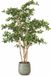 Mica Decorations Kunstplant Olijfboom in Pot - H183 x Ø130 cm - Groen