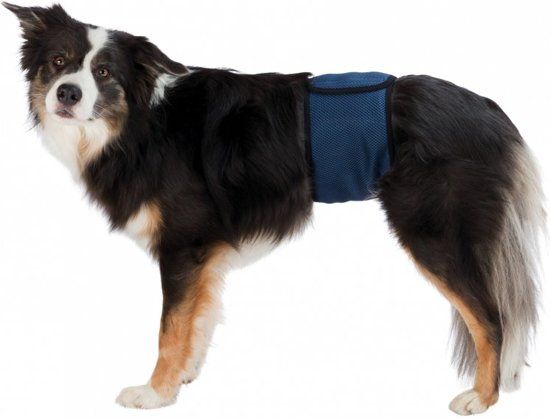 TRIXIE Plasband Voor Reuen Donkerblauw - XL