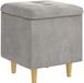 vidaXL Ottoman met opbergruimte lichtgrijs 40 x 40 x 45 cm fluweel