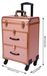 StarTech Rolbare make-up trolley - Make-up trolley met meerdere compartimenten - Afsluitbare wielen - Telescopische handgreep - Reisorganizer voor nagelsalons en kappers - Goudkleurig