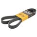 CONTITECH 8PK1427 V-riem