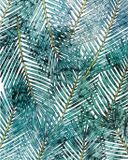 Komar Fotobehang - Palm Canopy 200x250cm - Vliesbehang