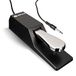 M-AUDIO SP-2 Universeel Sustainpedaal