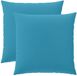 vidaXL - Coussin - 2 - pièces - HEERLEN - Bleu clair - 80 - x - 80 - cm - Polyester