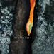 Sonic Rendezvous Blackstone - Colors Of The Stone (CD)