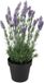 DK Design Lavendel kunstplant - in pot - paarse bloemen - D20 x H32 cm