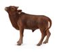 Collecta Boerderijdieren (S): Watusirund Kalf 6,7x3x5,5cm
