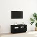 vidaXL meuble TV 100 x 35 x 40 cm chêne bois d'ingénierie noir