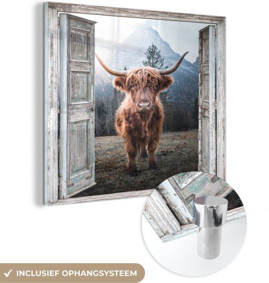 MuchoWow® Glass Painting 50x50 cm - Acrylic Glass Painting - Scottish Highlander - Cow - Rural - See-through - Photo on Glass - Paintings