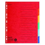 Falken Set van 20 kartonnen registers extra breed voor DIN A4+ 24 x 30 cm volledige hoogte met organisatieprint 6-delig full colour voor het opbergen van brochure- en transparante hoezen