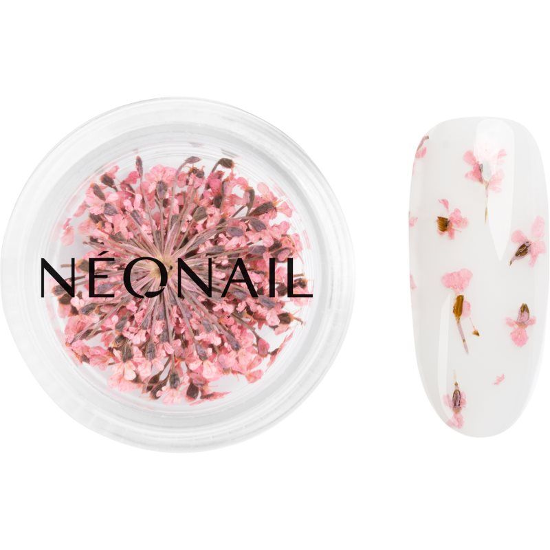 NEONAIL Kunstnagels & Nageldecoratie Nail Art Nageldesign Unisex 2.0g Wit