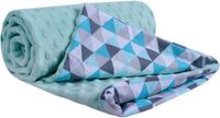 Medi Partners Kruipdeken 100% katoen 75x100cm dubbelzijdig multifunctionele Minky knuffeldeken voor kinderwagen zacht pluizig (muntdriehoek mint minzer Minky)