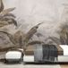 Papier peint panoramique feuilles tropicales