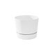 Root & Vessel Cilinderpot, Mat Wit, 8.5"