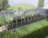 KLASIKA Serre Polycarbonate Standard 2,5x8m 20m² + 4 lucarnes de toit automatiques