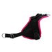 Klassiek hondentuigje, trekontlasting, met controlegreep, multifunctioneel, Europese productie, fuchsia, maat XL