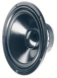 VISATON VS-W250S/4 - Subwoofer - 100W - Zwart